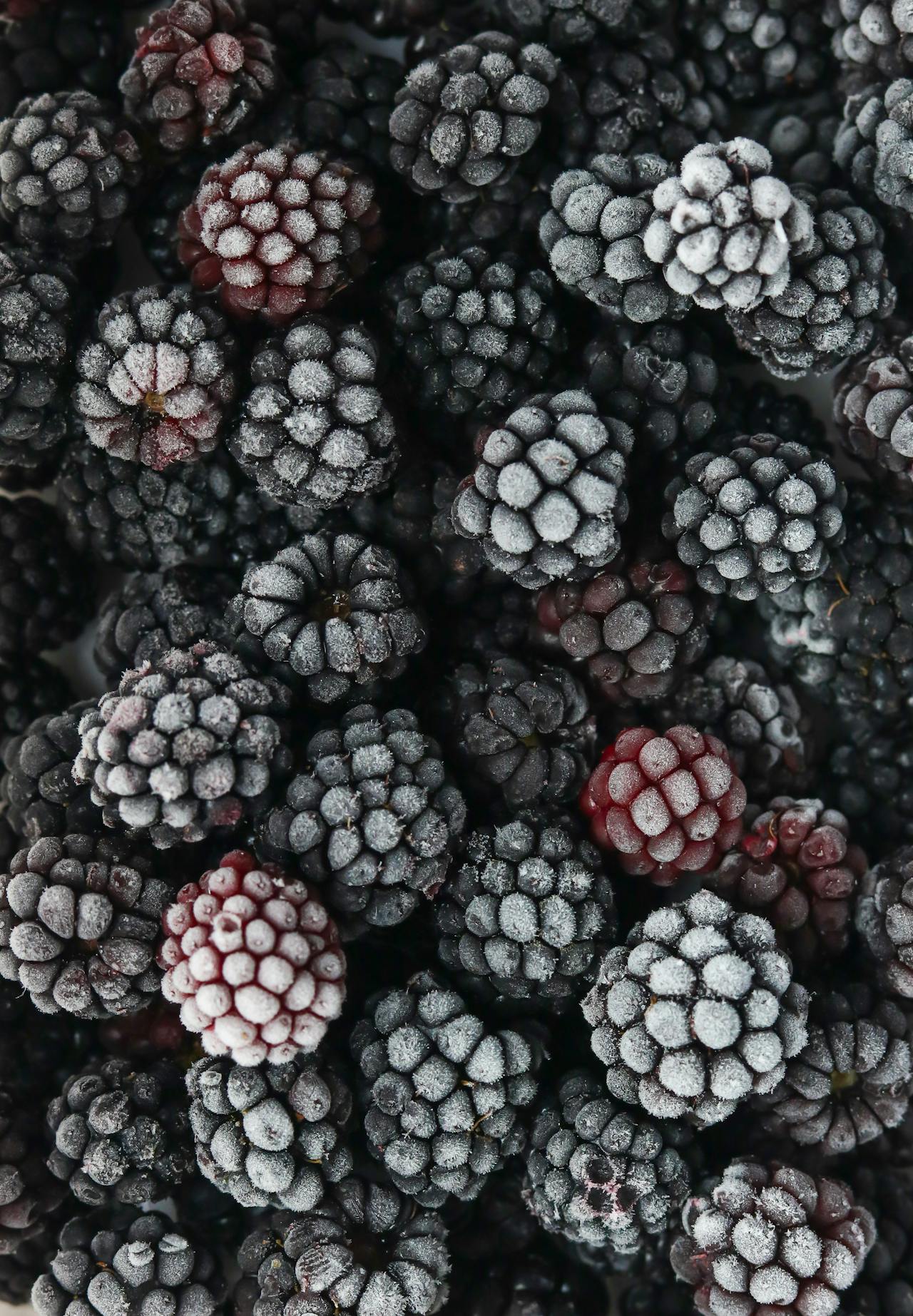 frozen blackberries