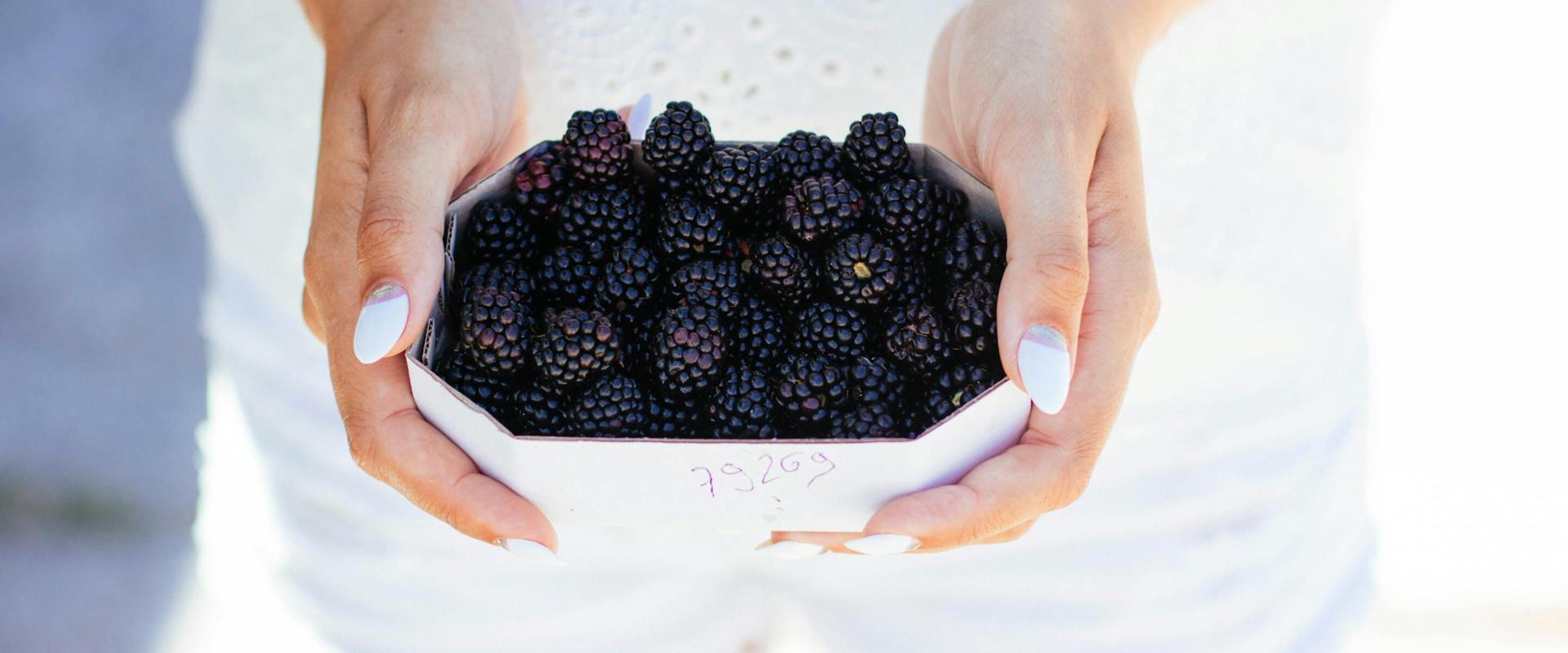 Think You Know Protein? These Meat-Free Foods Might Surprise You