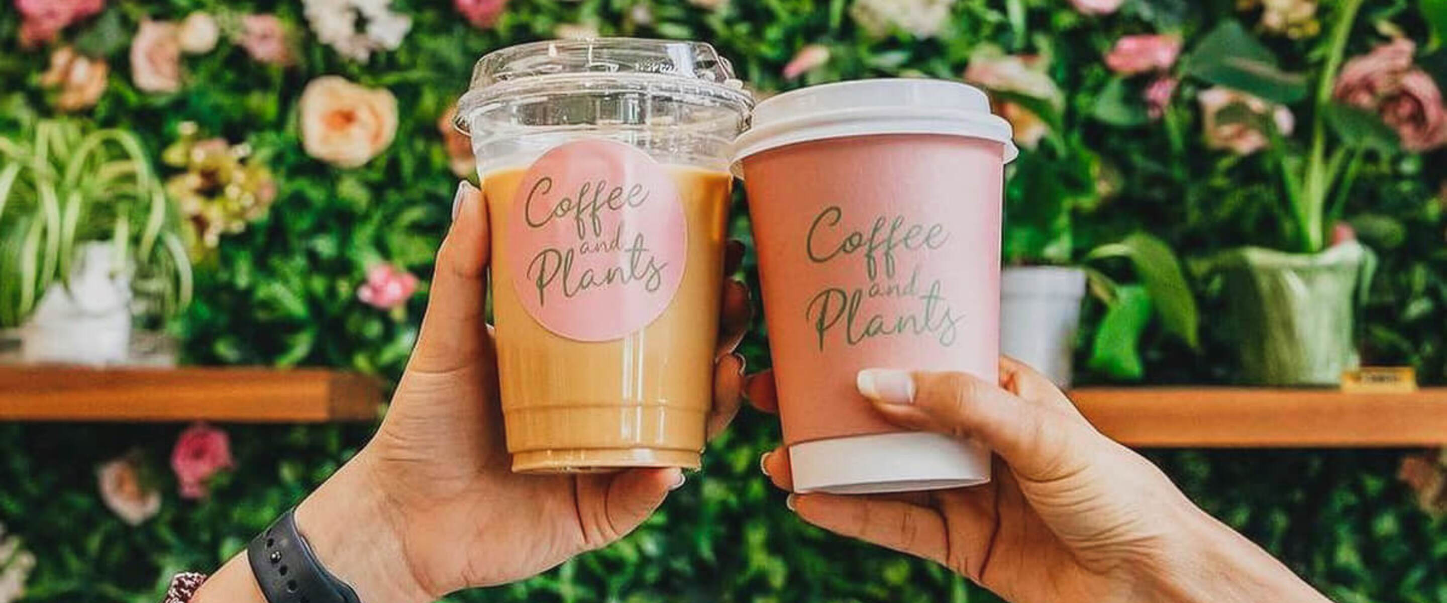 No Surcharges Here: The 17 Best Vegan Coffee Shops in the US<br>