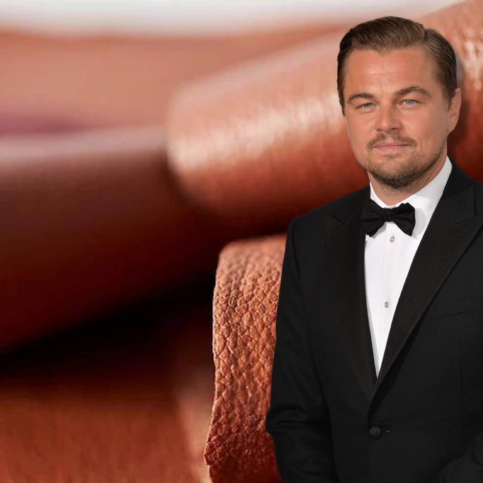 Leonardo DiCaprio Invests in Startup That Is Growing Leather From Cells 