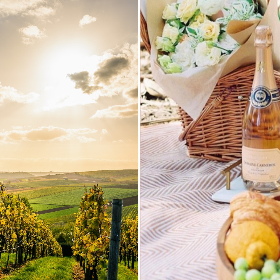 A Vegan Guide to Napa and California's Wine Country 